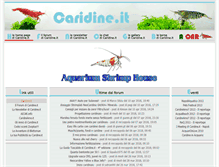 Tablet Screenshot of caridine.it